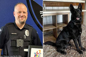 سگ موادیاب دختر 3 ساله پلیس را کشت