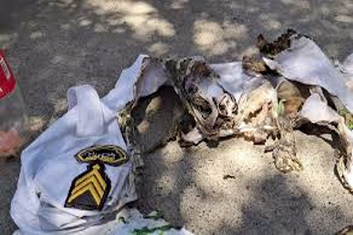 مرگ مرموز راننده ای که مامور پلیس راه راآتش زد